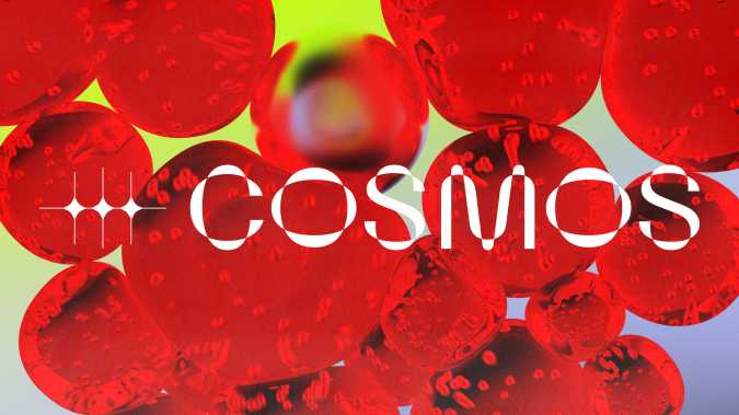 COSMOS Reveals 2023 Embassies and Live Program at Le Guess Who?
